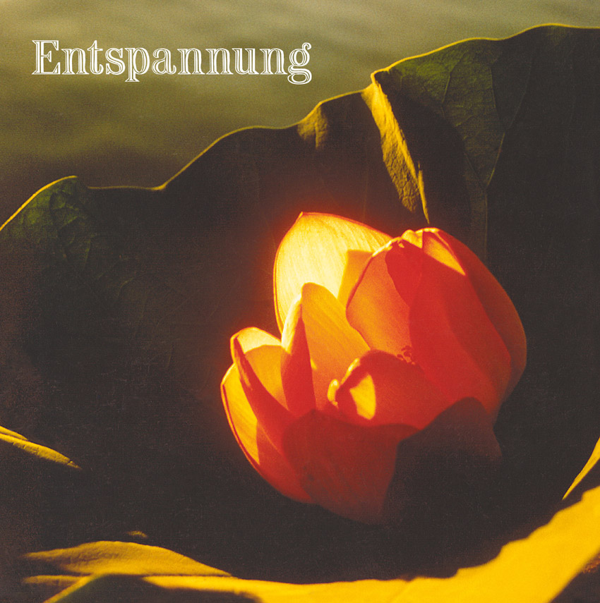 Hörbuch/Audio-CD: Entspannung